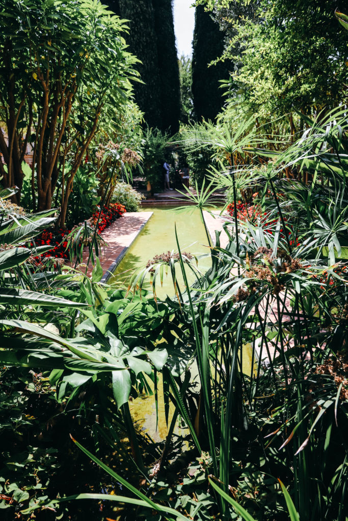 jardin luxuriant avec un bassin entouré de fleurs exotiques