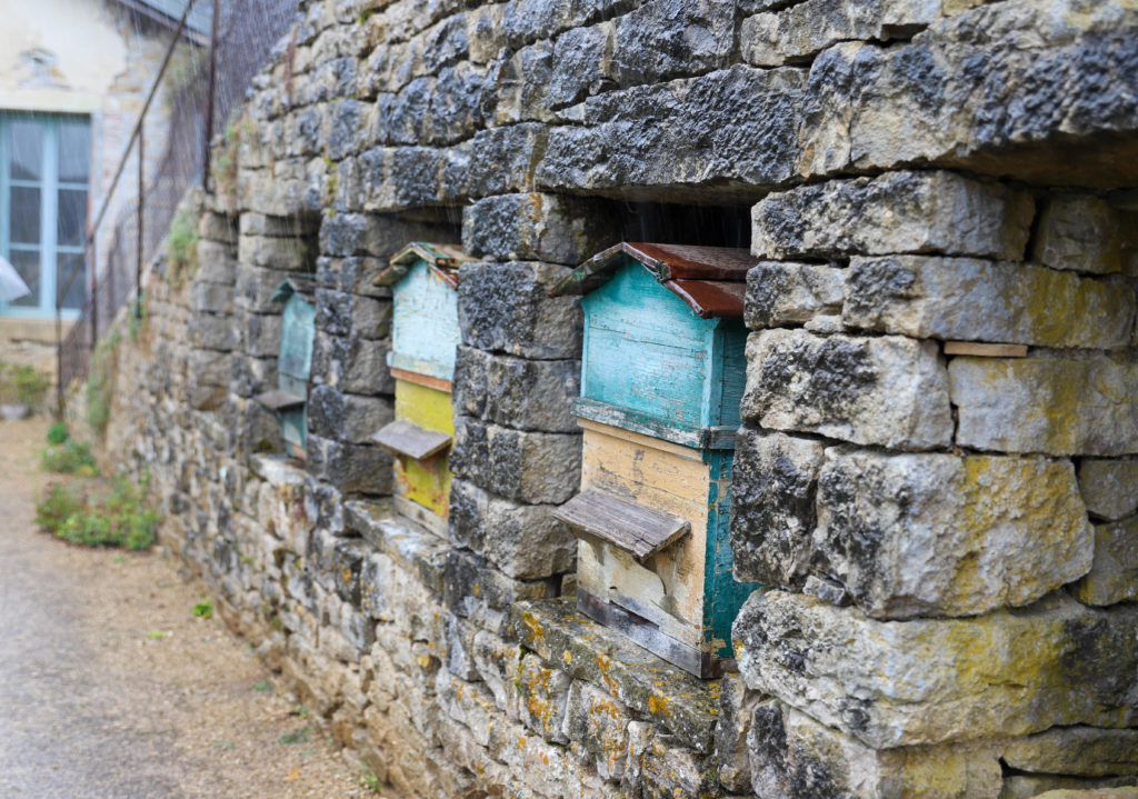 mur en pierres près du potager avec des ruches pour attirer les abeilles et polliniser