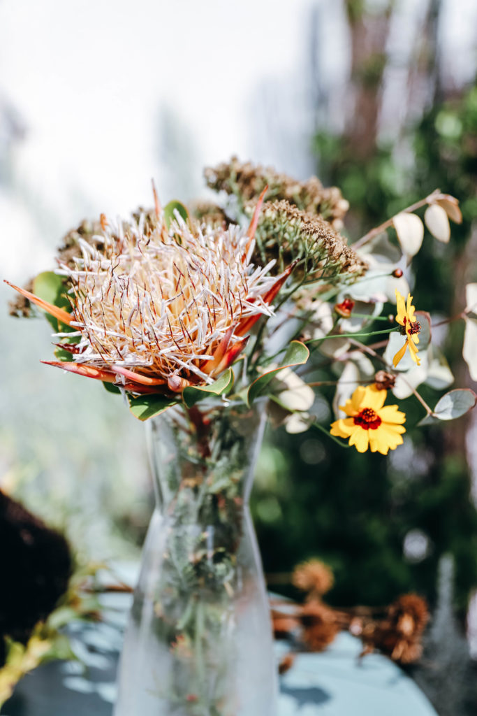 fleur de protea séchée dans un vase avec un bouquet aux couleurs d'automne