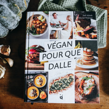 livre avec des recettes vegan faciles qui ne coûtent pas cher
