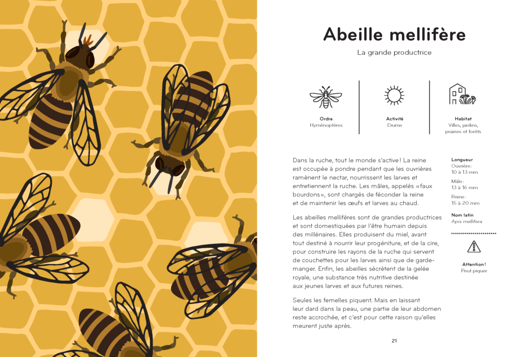 livre illustré sur les insectes avec une page sur les abeilles