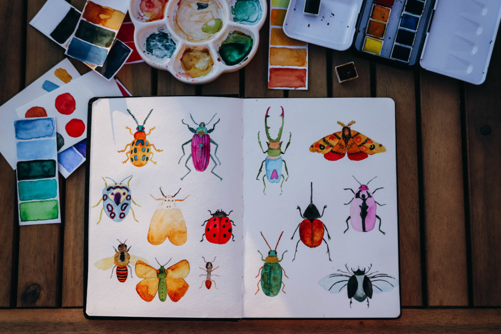 carnet avec des insectes colorés peints à l'aquarelle