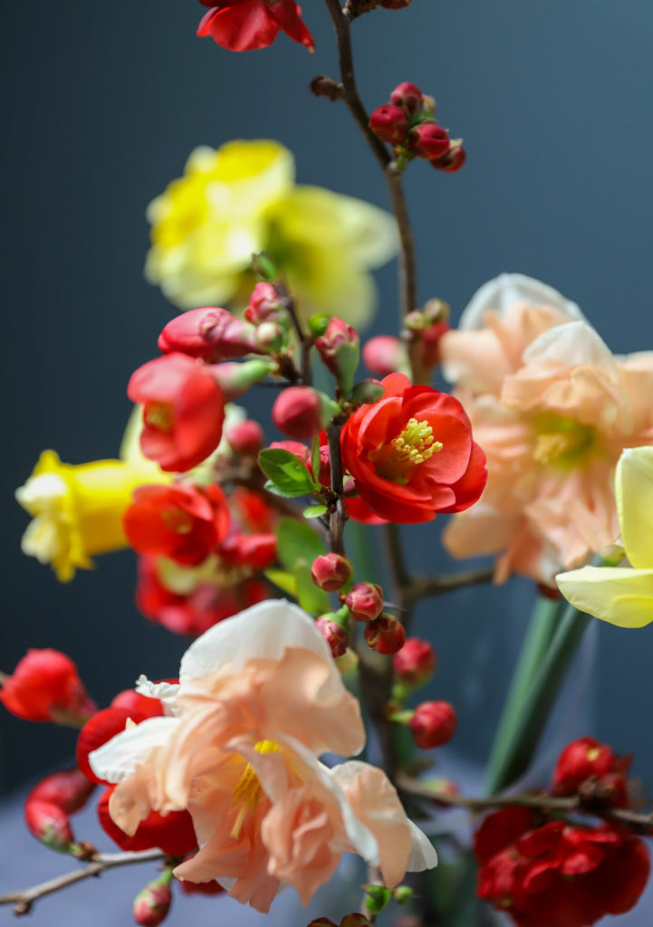 bouquet de printemps avec des narcisses jaunes, oranges et des fleurs de cognassier rouges