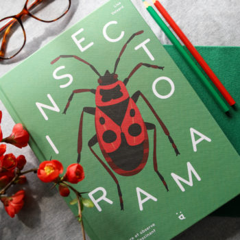 Livre sur les insectes avec de jolies illustrations