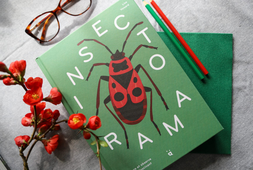 Livre sur les insectes avec de jolies illustrations