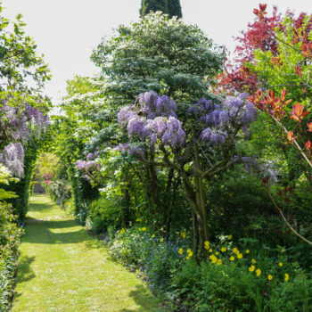 Le jardin floral du château de Digeon
