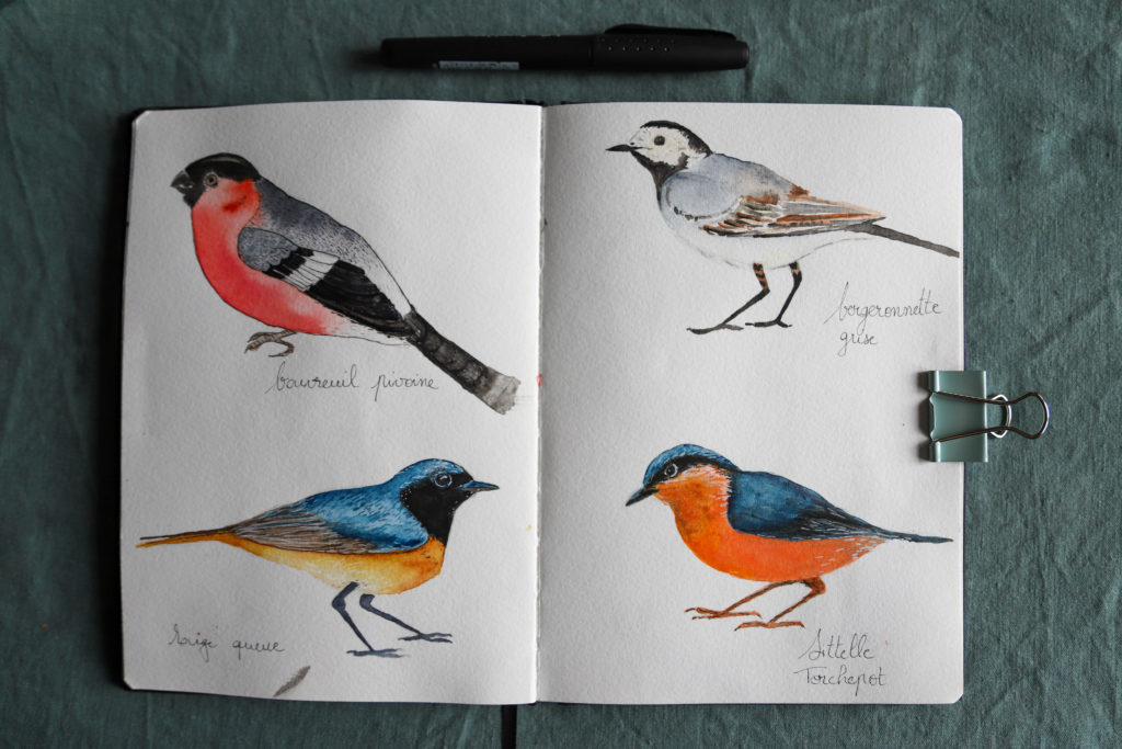 carnet de jardin illustré avec des oiseaux à l'aquarelle