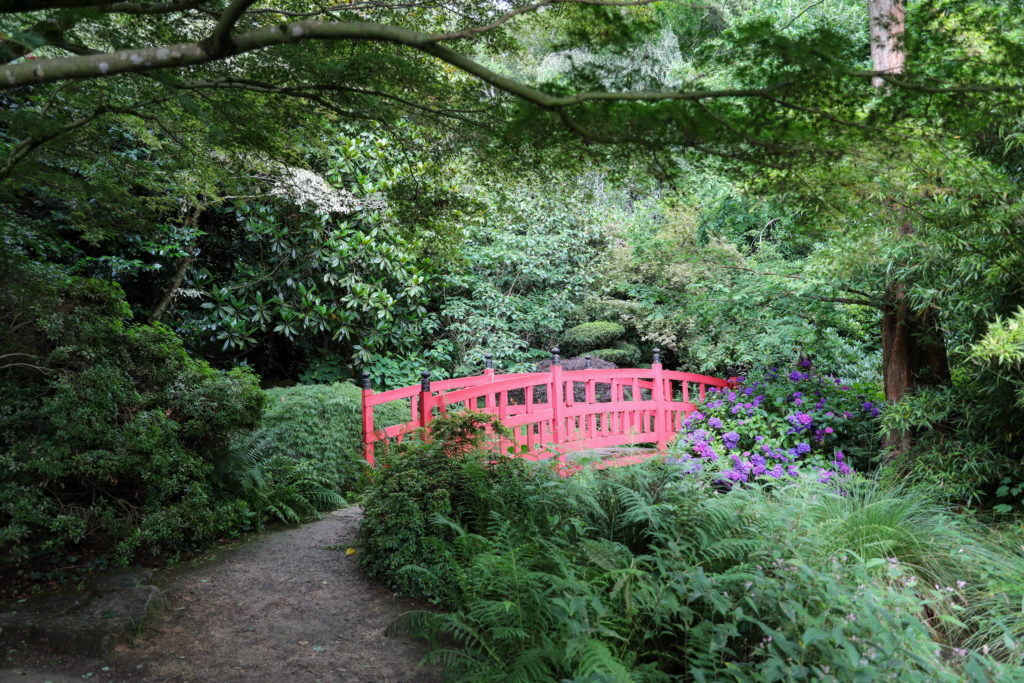 jardin japonais avec beaucoup de verdure et un petit pont en bois rouge