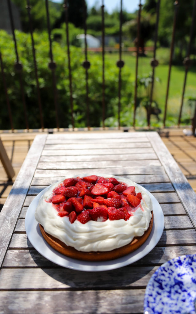 sponge cake avec des fraises, de la rhubarbe et de la crème chantilly