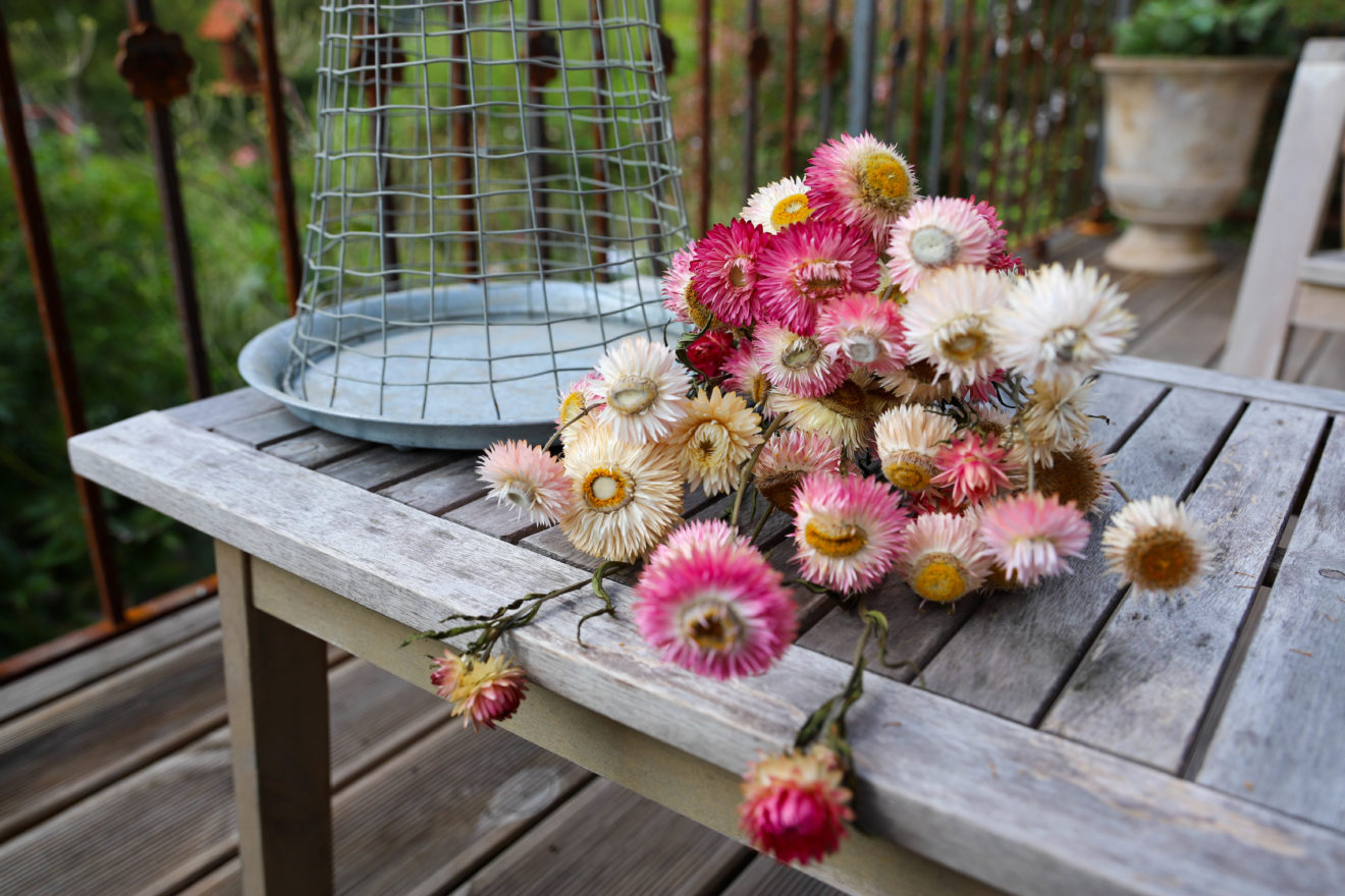 Composition de fleurs séchées | Jardin Potager