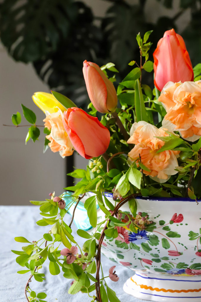 tulipes et narcisses colorées