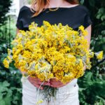 liste des engrais naturels en fonction des besoins des plantes et fleurs