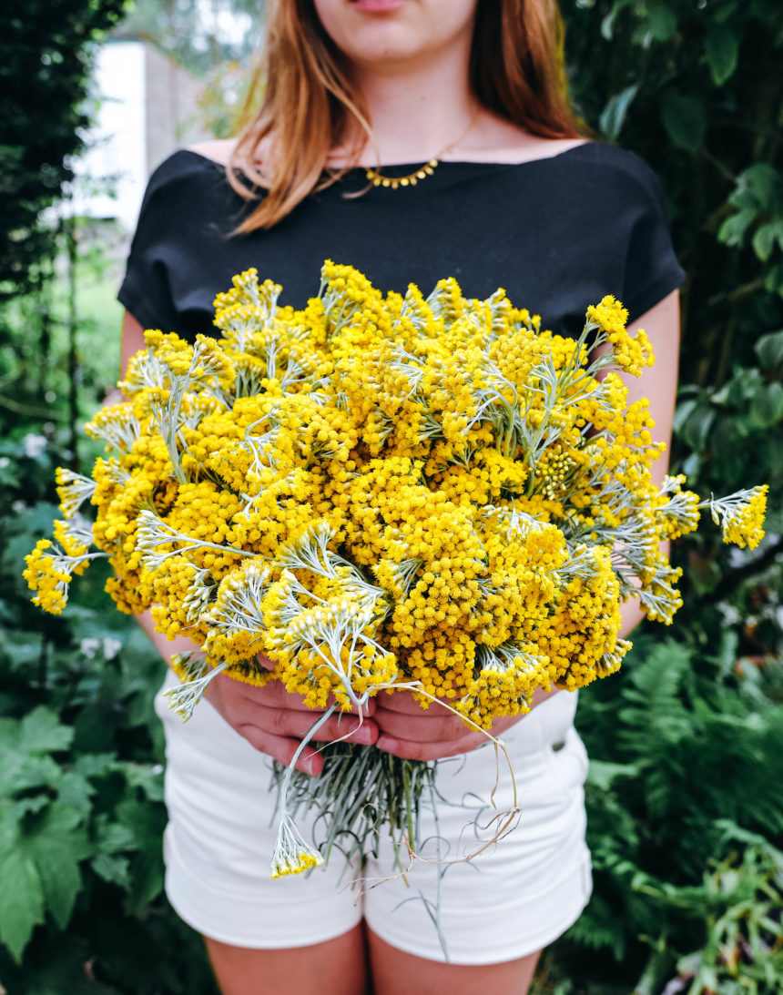 liste des engrais naturels en fonction des besoins des plantes et fleurs