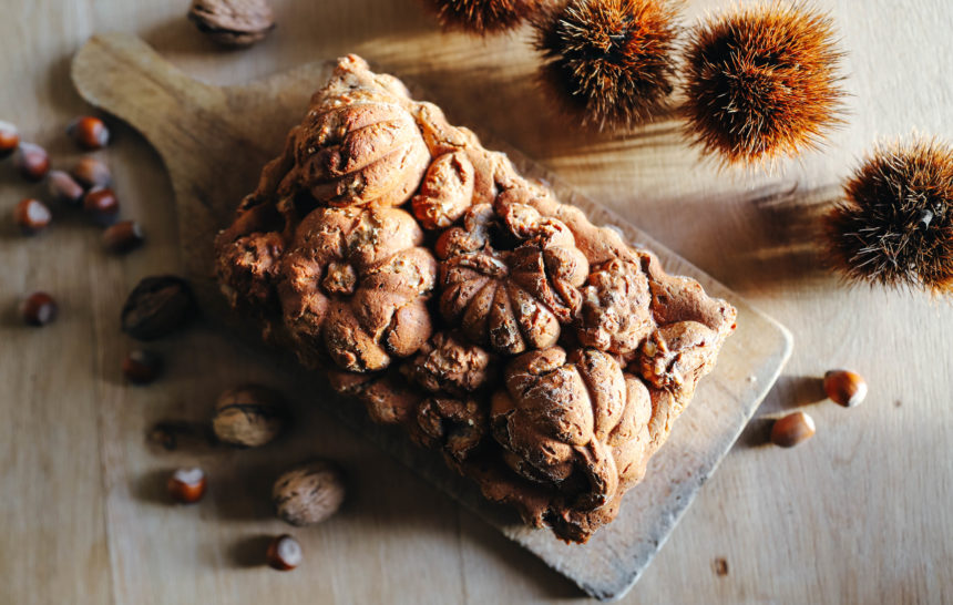gâteau aux châtaignes gâteau aux châtaignes qui a été réalisé dans un moule en métal avec une forme de fruits d'automne : pommes de pin, citrouilles. Le gâteau est doré. Il est posé sur une table en bois entouré de noix et de coques de châtaignes