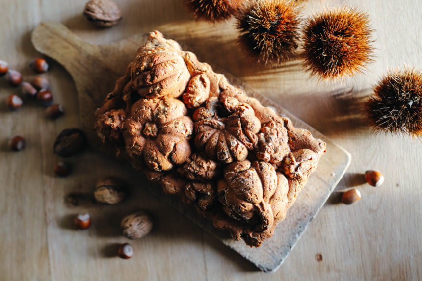 gâteau aux châtaignes qui a été réalisé dans un moule en métal avec une forme de fruits d'automne : pommes de pin, citrouilles. Le gâteau est doré. Il est posé sur une table en bois entouré de noix et de coques de châtaignes