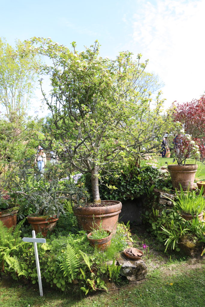 jardin avec des pots en terre cuite