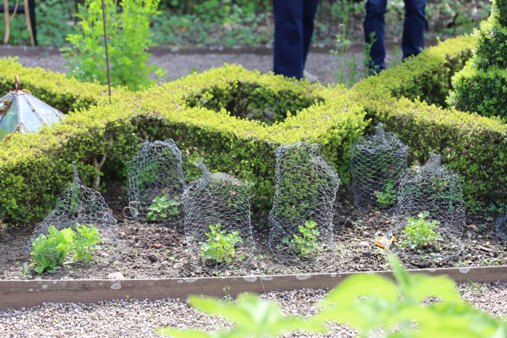 jardin de Stéphane Marie avec des cloches réalisées en grillage