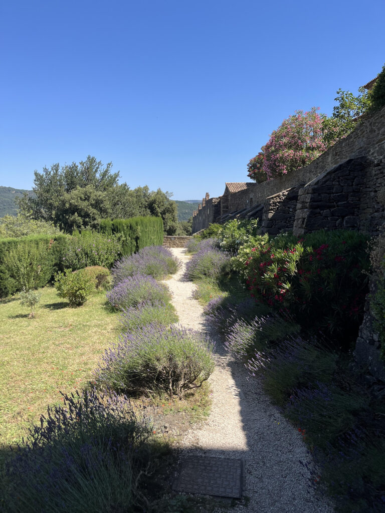 jardin de la chartreuse de la Verne